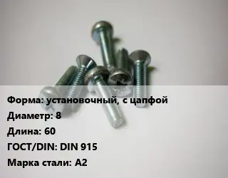 Винт установочный, с цапфой 8х60 DIN 915 Сталь: А2